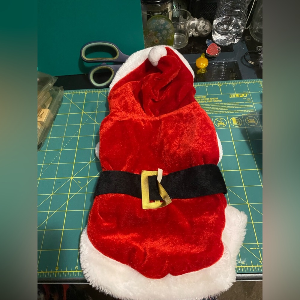 Dog’s Christmas